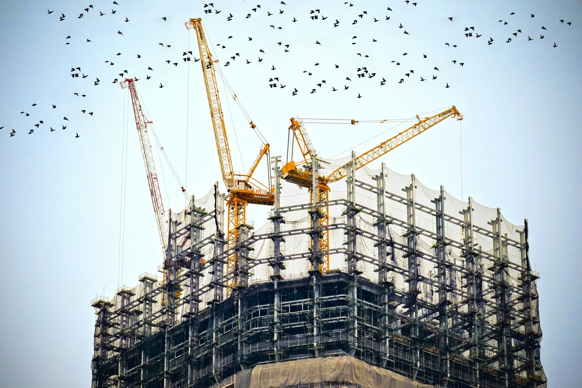 Building under construction with scaffolding
